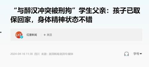 汝州吃瓜群众案件结果查询,真相大白,正义得以伸张