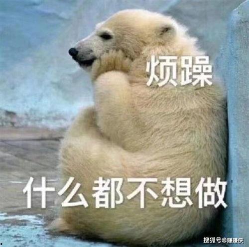 吃瓜群众走走看看图片,走走看看图片背后的故事