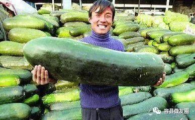 台湾海峡吃瓜群众图片,吃瓜群众的视角,揭秘两岸风云