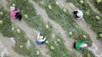 峡谷吃瓜群众哪儿的,揭秘游戏圈幕后风云