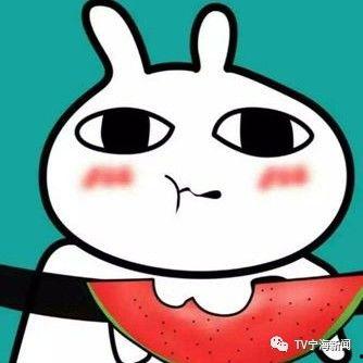 吃瓜群众都说的什么,揭秘吃瓜群众热议话题背后的真相