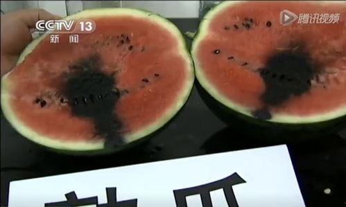 群众演示吃瓜视频,视频记录趣味瞬间