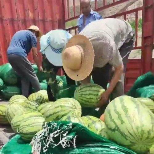 金凤区吃瓜群众事件视频,一场引发热议的街头冲突