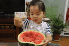 吃瓜群众温州,吃瓜群众眼中的城市风采