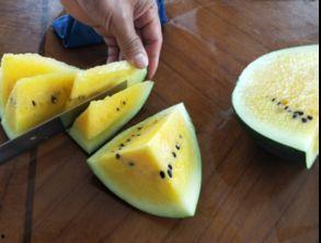 吃瓜吃饼群众 著