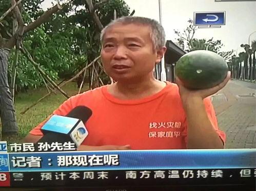 即墨吃瓜群众事件最新情况,真相大白，后续发展引关注